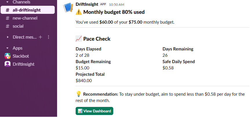 Budget Alert Slack
